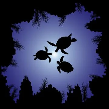 Sea turtle Stock Illustration