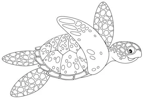 Sea turtle Stock Illustration