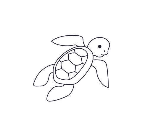 Sea turtle Stock Illustration