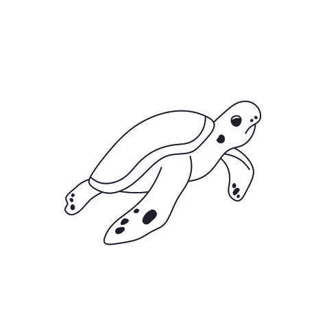 Sea turtle Stock Illustration