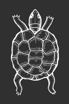 Sea turtle illustration Stock Illustration