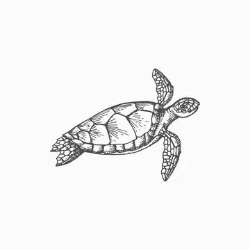 Sea turtle, isolated nautical tortoise animal icon Stock Illustration
