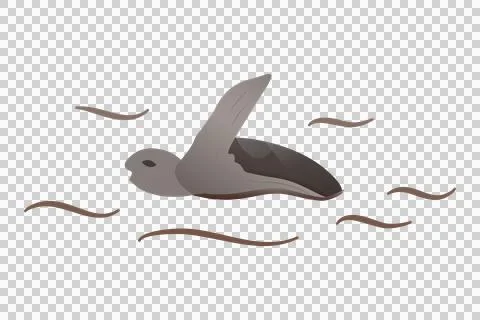 Sea turtle isolated on transparency background Stock Illustration