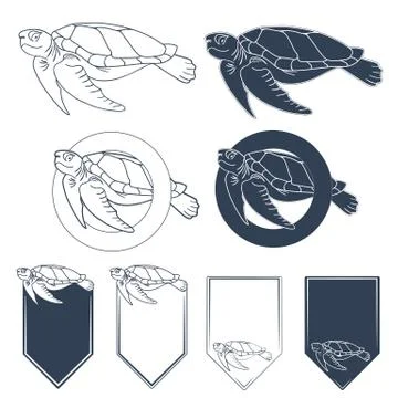 Sea turtle. Isolated vector objects on a white. Stock Illustration