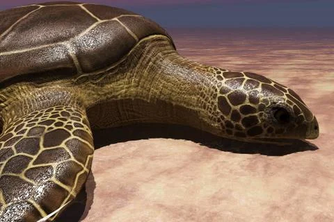 Sea turtle laying eggs on the beach 3d rendering Stock Illustration