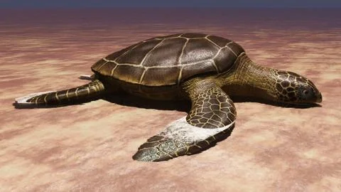 Sea turtle laying eggs on the beach 3d rendering Stock Illustration