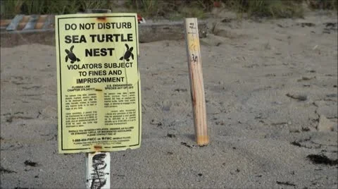 Sea Turtle Nest Sign Stockbeeldmateriaal 11867477