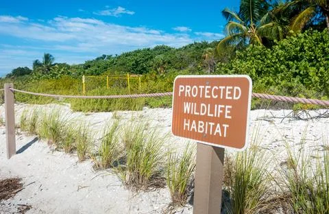 A sea turtle nesting site on the beach in Sanibel, Florida Foto stock