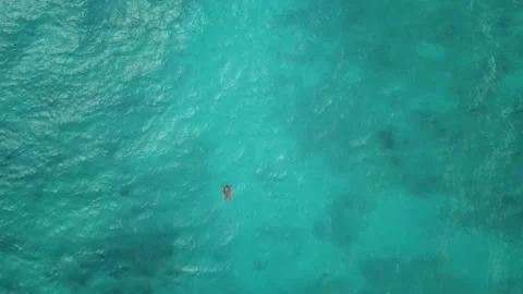 Sea Turtle in the Ocean Video stock 240771308