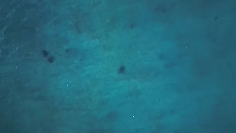 Sea turtle plastic contaminated ocean pollution. Fantastic aerial view drone Stock Footage 344623545