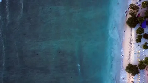 Sea turtle with plastic contaminated ocean pollution Majestic aerial view drone Stock Footage 344630328