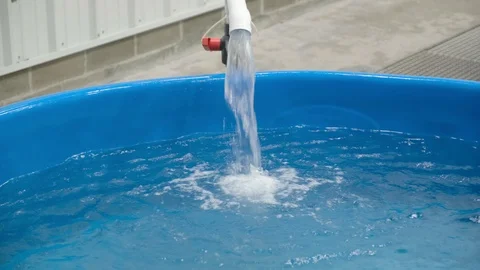 Sea Turtle Rescue 13 Video stock 108757915