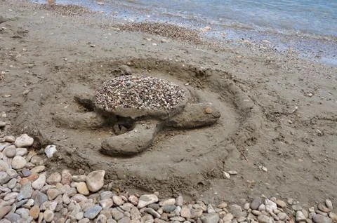 Sea turtle sandy beach Stock-Fotos