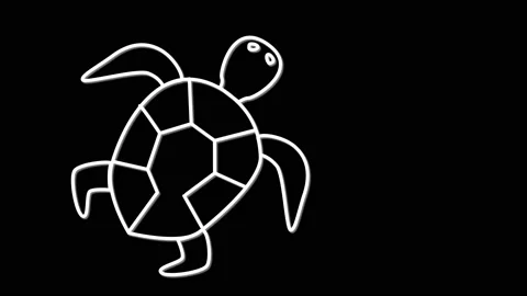 Sea Turtle Outline Stock Video Footage | Royalty Free Sea Turtle ...