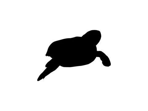 Sea Turtle Silhouette Isolated Illustrazione stock
