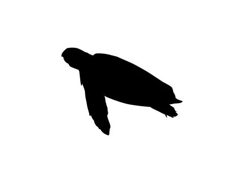 Sea Turtle Silhouette Isolated Illustrazione stock