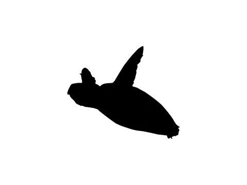 Sea Turtle Silhouette Isolated Illustrazione stock