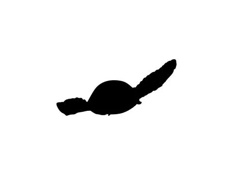 Sea Turtle Silhouette Isolated Illustrazione stock