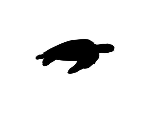 Sea Turtle Silhouette Isolated Illustrazione stock