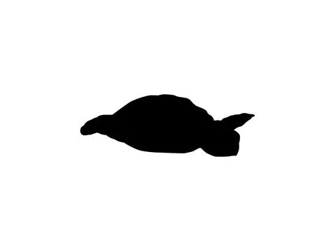 Sea Turtle Silhouette Isolated Illustrazione stock