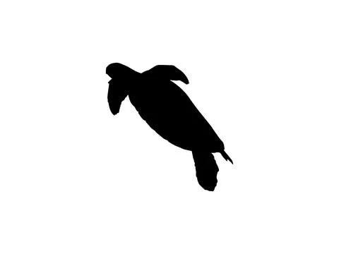 Sea Turtle Silhouette Isolated Illustrazione stock