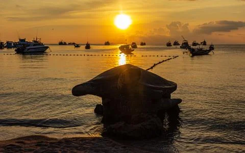 Sea turtle statue view at beach coastline Stock Photos