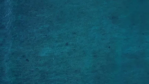 Sea turtle swimming with plastic contaminated ontaminated ocean pollution Stock Footage 343716009
