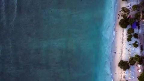 Sea turtle swimming plastic contaminated ocean pollution Great aerial view drone Stock Footage 344583843