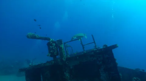 Sea Turtle Swims into Shipwreck  Stock Footage 27063963