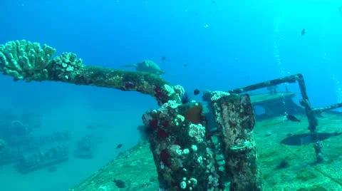 Sea Turtle Swims by Shipwreck Stock Footage 27064070