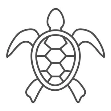 Sea turtle thin line icon, ocean animals concept, tortoise sign on white Illustrazione stock