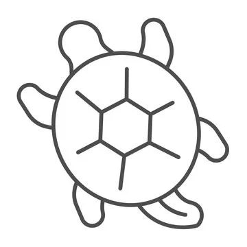 Sea turtle thin line icon, sea life concept, marine reptile vector sign on white Stock Illustration