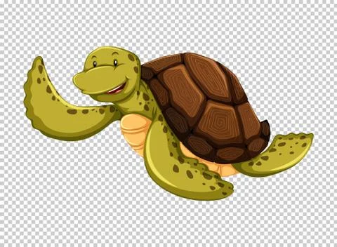 Sea turtle on transparent background Stock Illustration