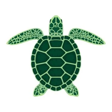 Sea turtle vector illustration on a white background Stock Illustration
