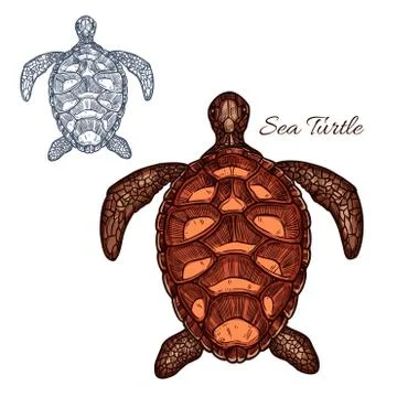 Sea turtle vector isolated icon Stock Illustration