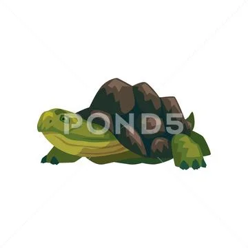Sea turtle, water reptile cartoon vector Illustration Stock Illustration