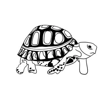 Sea ​​turtle white background black ink Stock Illustration