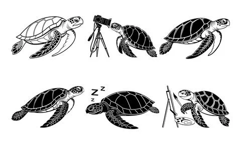 Sea turtles engaging in various activities with black and white animals wil.. Stock Illustration