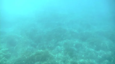 Sea under Stock Footage 32208106