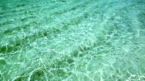Sea underwater dive schematic for fish and coral viewing calm ocean wave tidal Stock-Footage 336579707