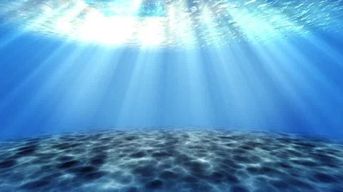 Sea Underwater 스톡 동영상 318516091