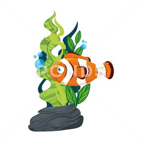 Sea underwater life, anemone fish with seaweed, clownfish on white background Stock Illustration
