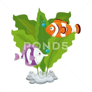 Sea underwater life, fishes with seaweed on white background Stock Illustration