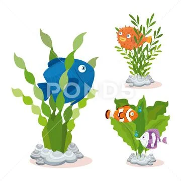 Sea underwater life, fishes with seaweed on white background Stock Illustration