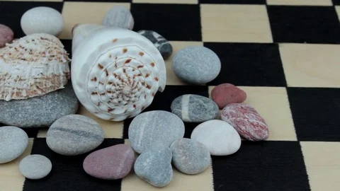 Sea underwater shells on a chessboard Stock Footage 81263475