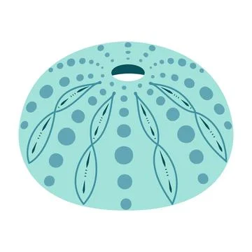 Sea urchin shell Hand drawn. Cartoon style flat illustration seashell isolated Stock Illustration