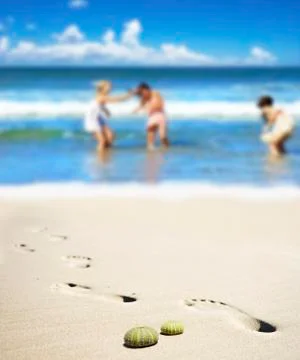 Sea urchin shells on the beach with three young women in the background Stock Photos
