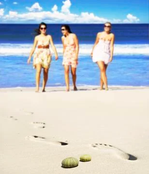 Sea urchin shells on the beach with three young women in the background Stock Photos