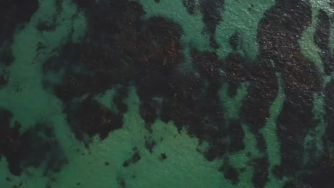 Sea view from above. Video for the background. Real view of the ocean from a Stock Footage 244747463