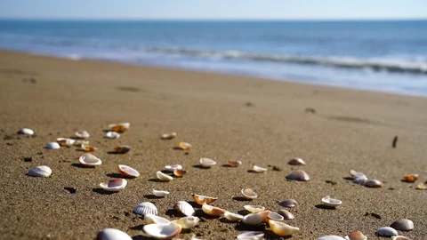 Sea view across the beach Stock Footage 120521475